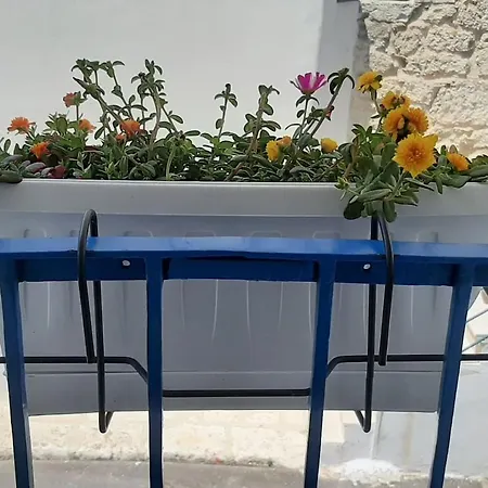 Tatil Evi Casetta Turchese